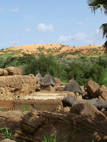 AFRICA, MALI, VIAGGI, Progetti, Sviluppo, Donne,Artigianato, Karite