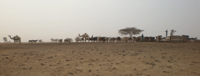 JOLIBA, Associazione,Progetti, Sviluppo, Sostenibile, Africa, Mali, Burkina Faso, Turismo Responsabile, Sostegno a distanza,Bomboniere solidali, Artigianato africano