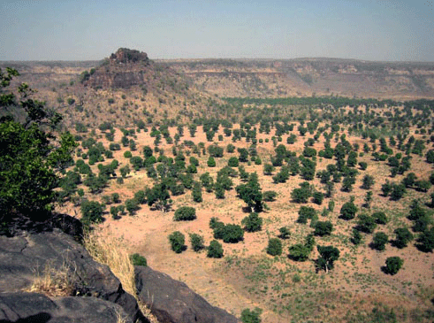 JOLIBA, Associazione,Progetti, Sviluppo, Sostenibile, Africa, Mali, Burkina Faso, Turismo Responsabile, Sostegno a distanza,Bomboniere solidali, Artigianato africano